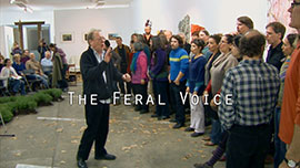 The Feral Voice